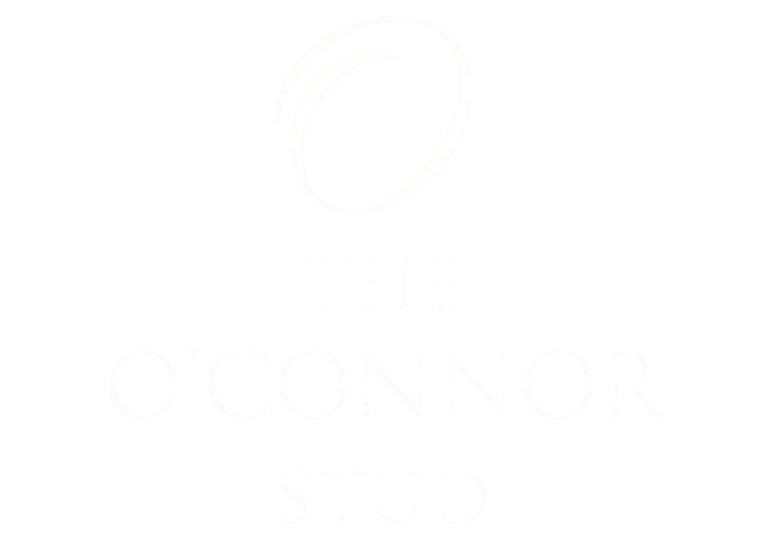 THE O'CONNOR STUD